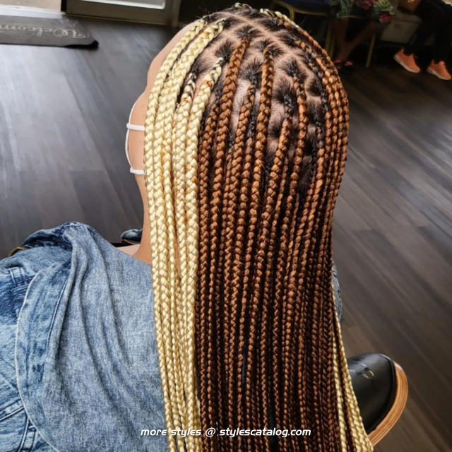 Fascinating African Hair Braiding Styles Pictures You Will Love ...