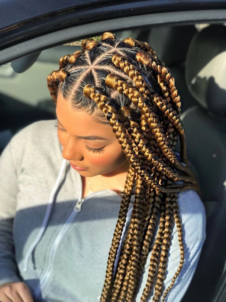 Box Braids Hairstyle