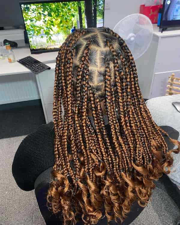Colored Box Medium Knotless Braids With Curls