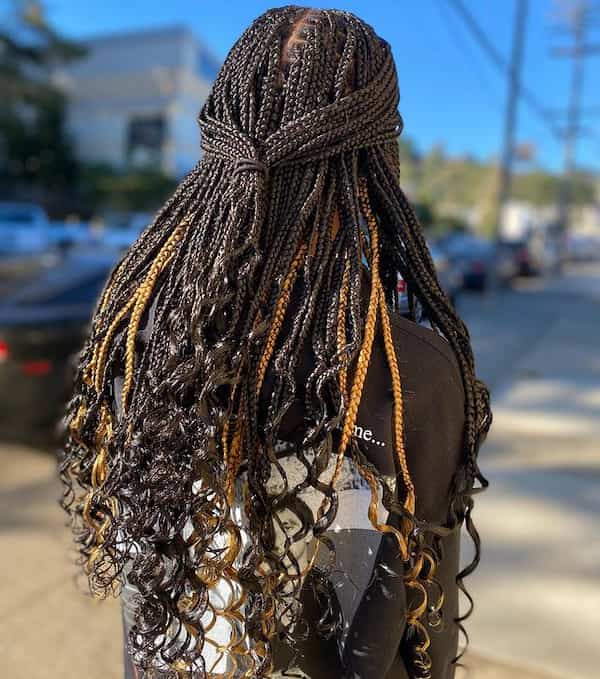 Curly Medium Knotless Braids With Color Highlights