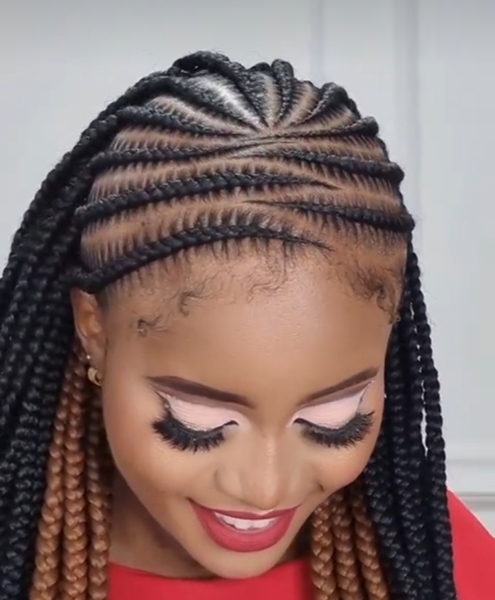Braided Hairstyles For Natural Hair (11)