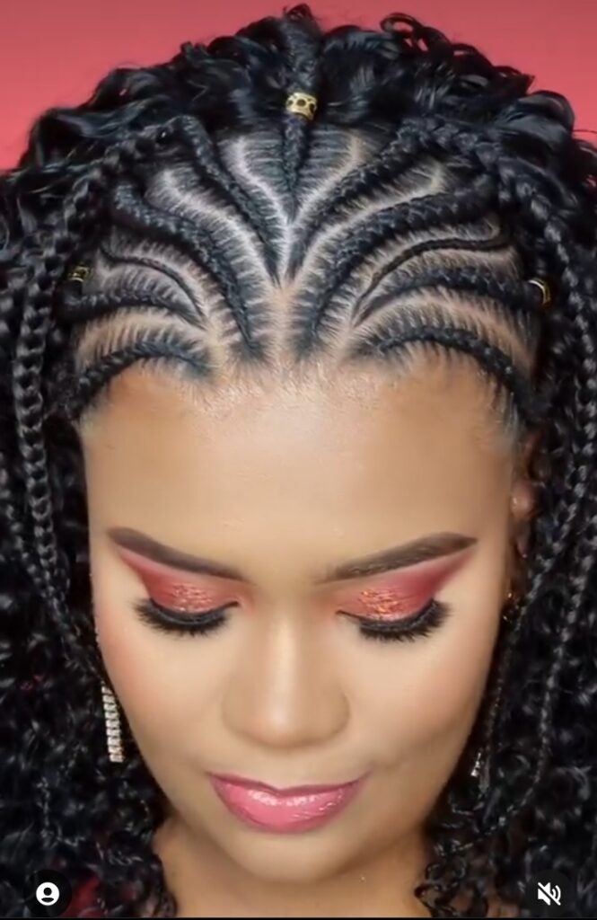 Braided Hairstyles For Natural Hair (19)