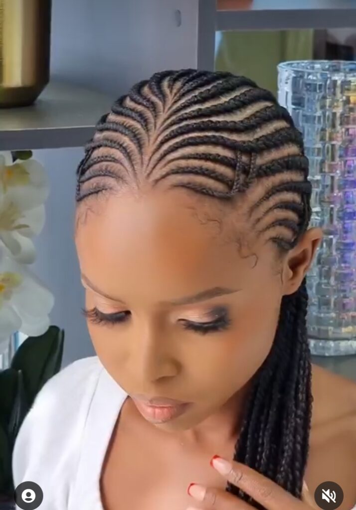 Braided Hairstyles For Natural Hair (2)
