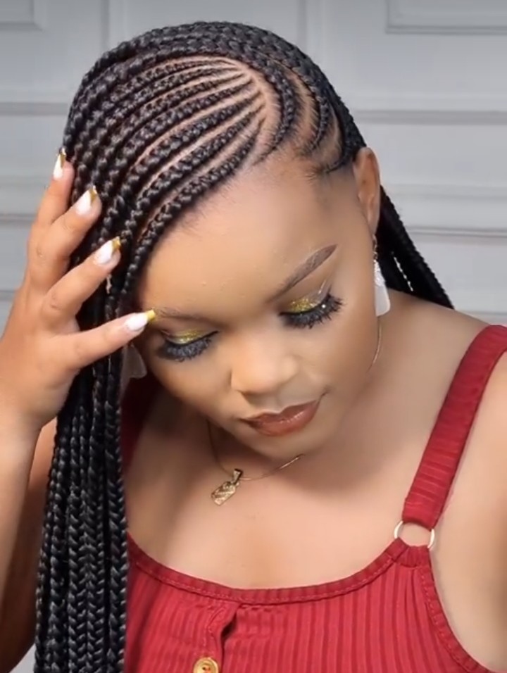 Braided Hairstyles For Natural Hair (3)
