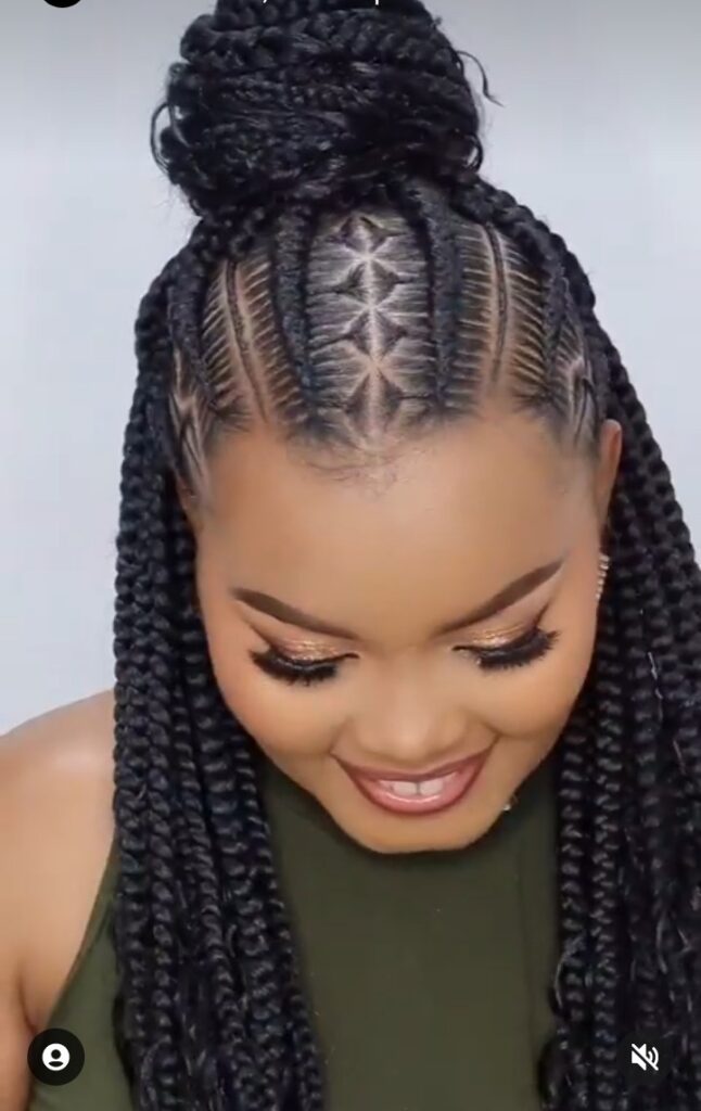 Braided Hairstyles For Natural Hair (6)